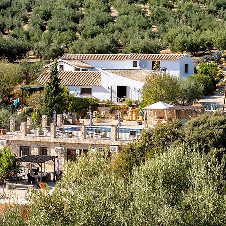 Hacienda La Buena Vida B&B En Appartementen Casita La Bruja Algarinejo Camera foto