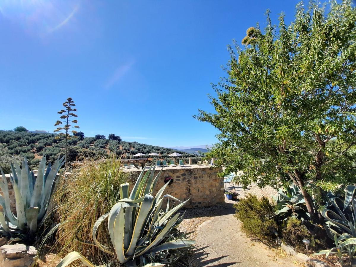Hacienda La Buena Vida B&B En Appartementen Casita La Bruja Algarinejo Esterno foto