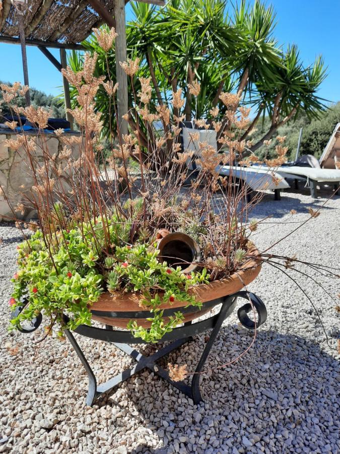 Hacienda La Buena Vida B&B En Appartementen Casita La Bruja Algarinejo Esterno foto