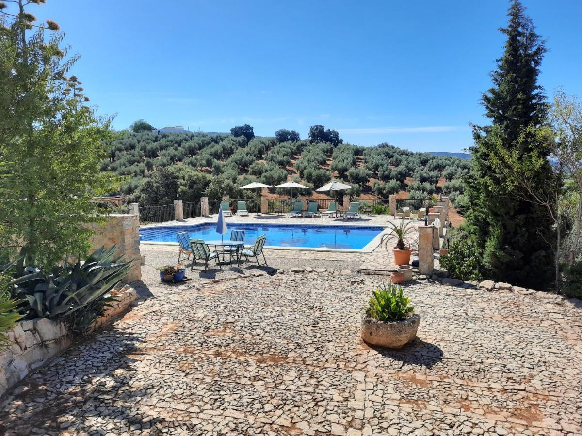 Hacienda La Buena Vida B&B En Appartementen Casita La Bruja Algarinejo Esterno foto