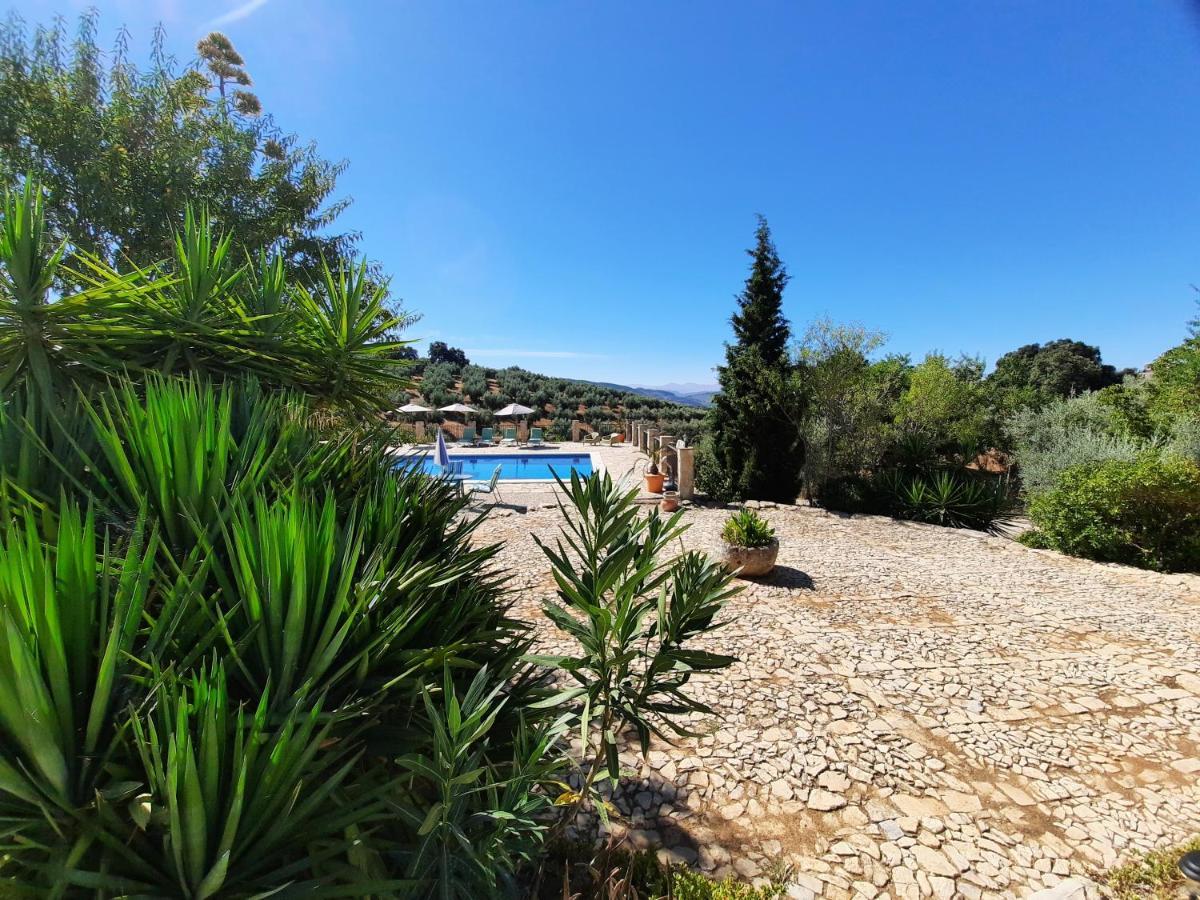 Hacienda La Buena Vida B&B En Appartementen Casita La Bruja Algarinejo Esterno foto
