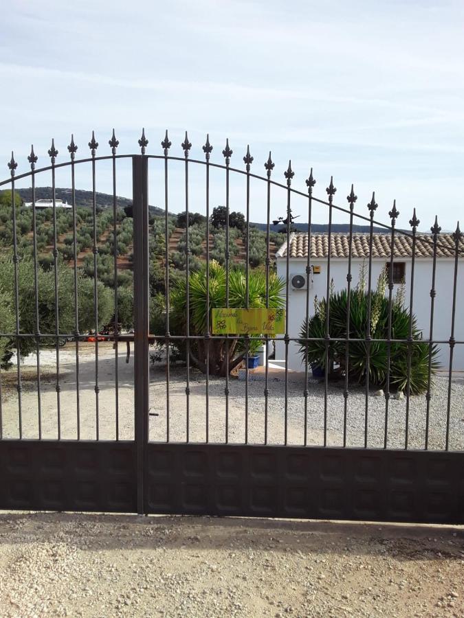 Hacienda La Buena Vida B&B En Appartementen Casita La Bruja Algarinejo Esterno foto