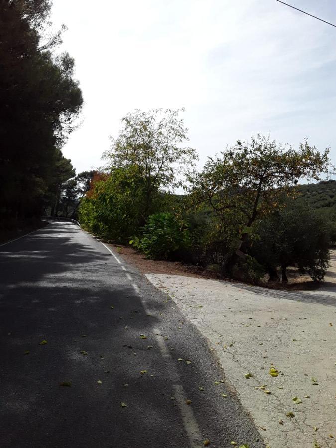 Hacienda La Buena Vida B&B En Appartementen Casita La Bruja Algarinejo Esterno foto