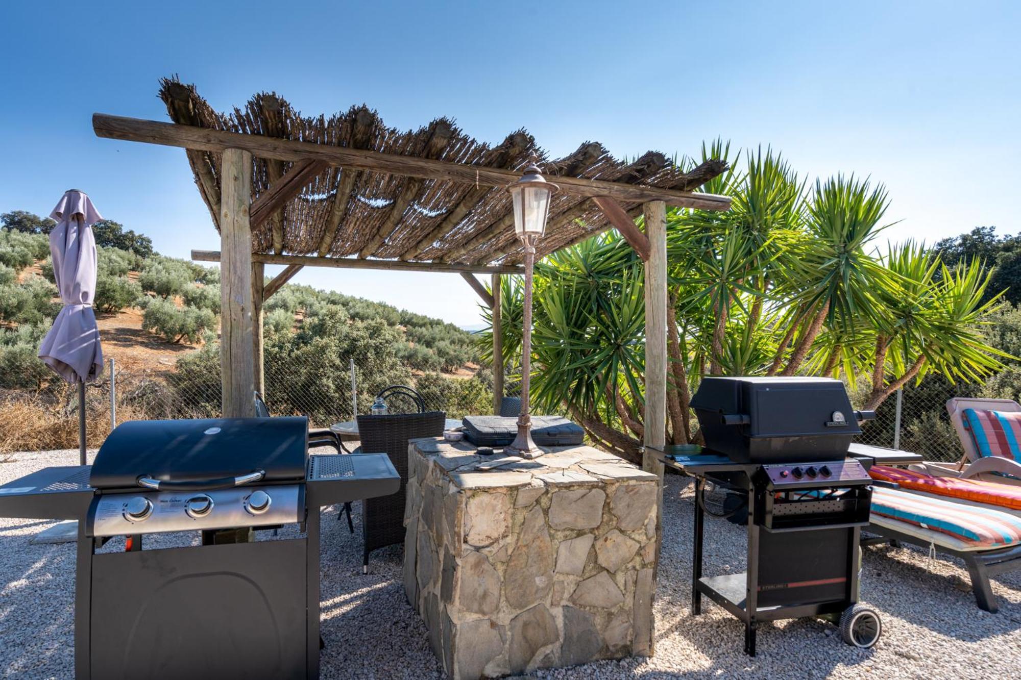 Hacienda La Buena Vida B&B En Appartementen Casita La Bruja Algarinejo Camera foto
