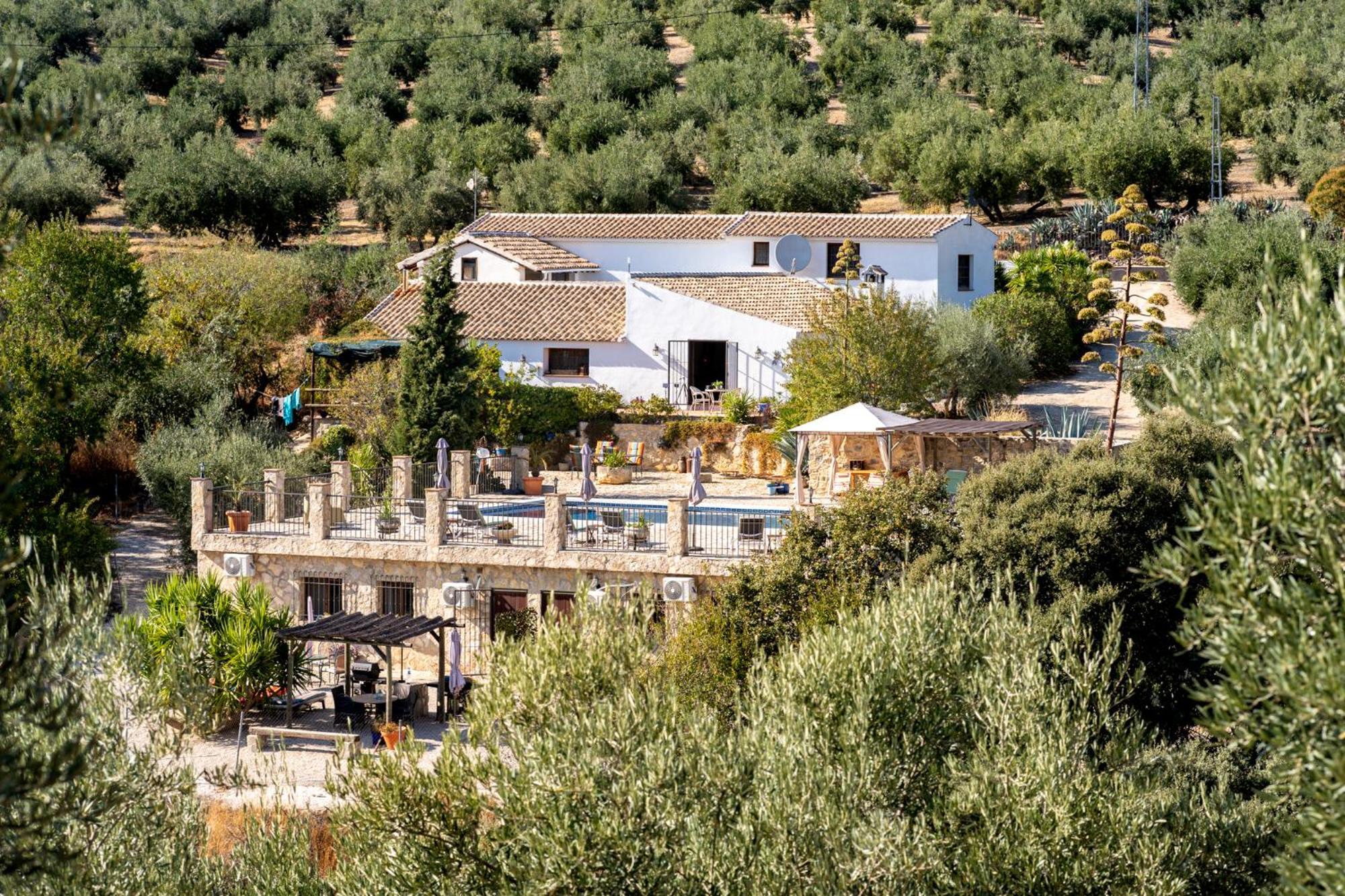 Hacienda La Buena Vida B&B En Appartementen Casita La Bruja Algarinejo Camera foto